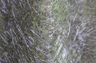 Great Wishford fibreglass roof work